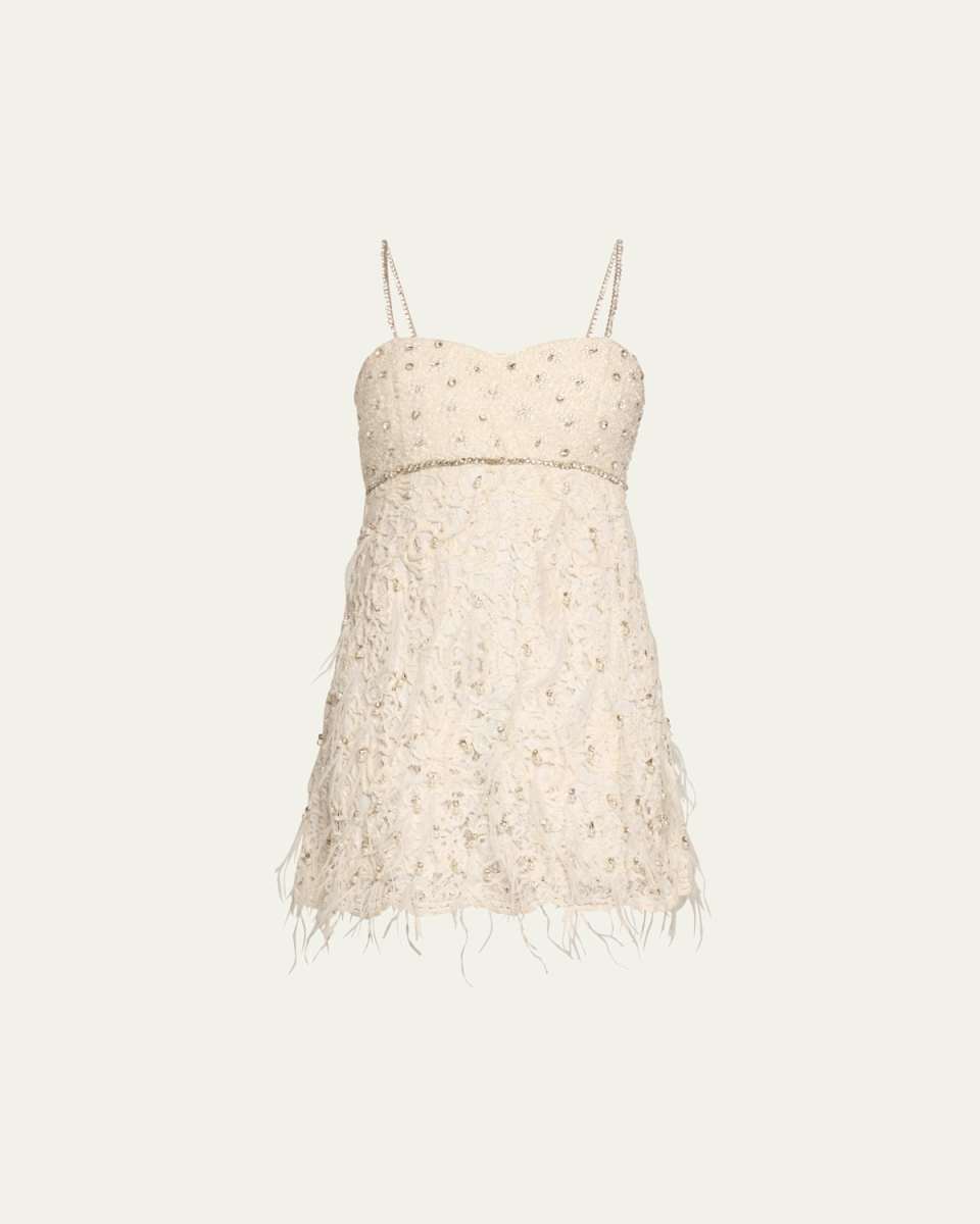 Brianne Embellished Lace Mini Dress